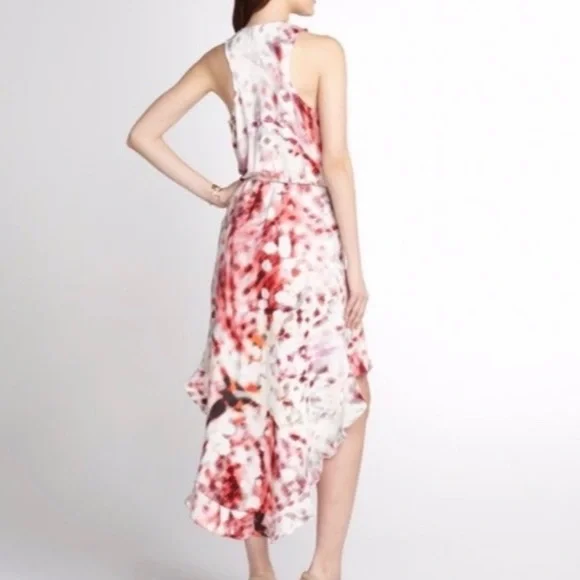 Parker Cassia Hi low dress XS - Picture 5 of 7